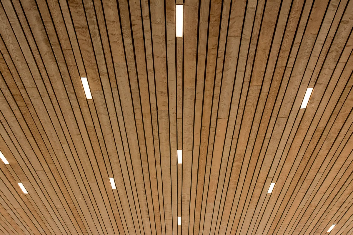 Recessed linear LED lighting integrated into a wood-slat ceiling for glare-free office illumination
